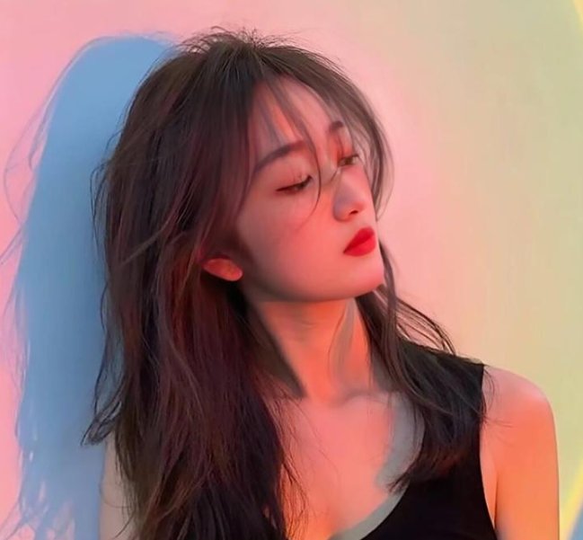 廉政行动2009粤语