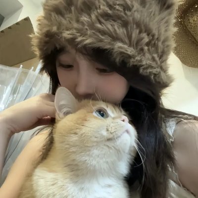 双鼠记